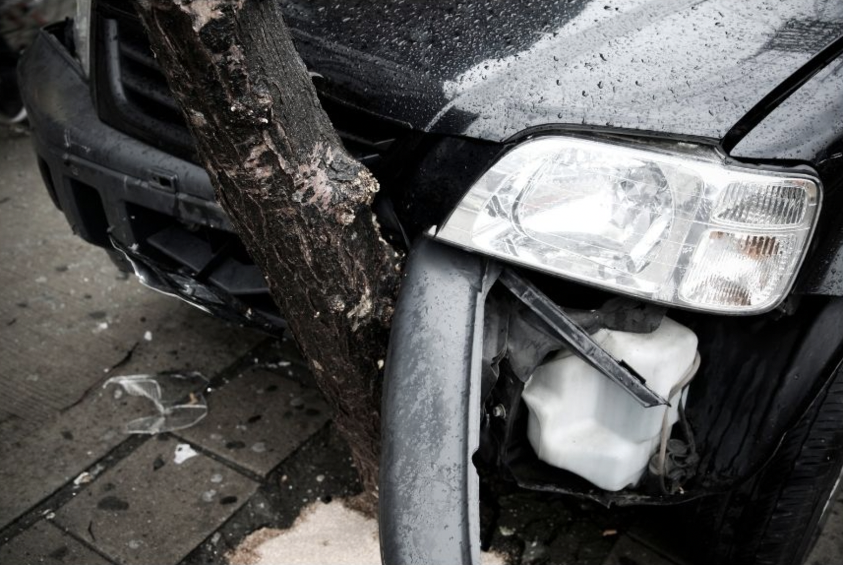 black car which hit a small tree with front end damage