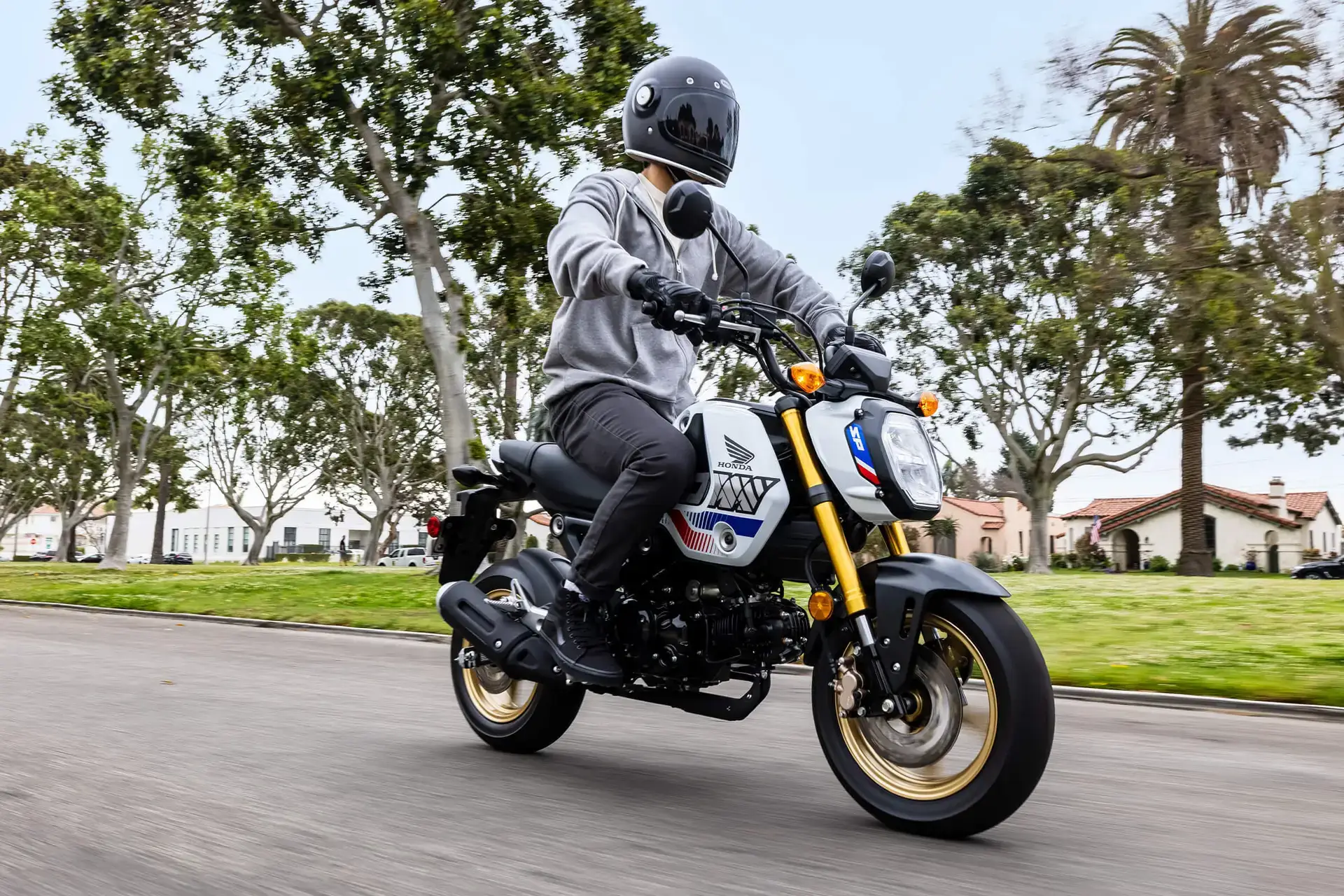 man with a helmet riding a motorcycle with palm trees in the background